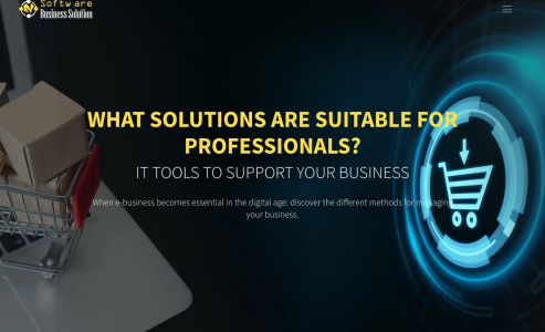 https://www.softwarebusinesssolution.com